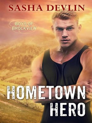 cover image of Hometown Hero